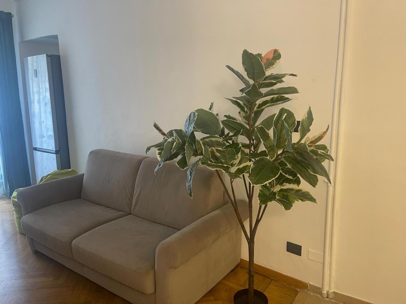 Torino Natura In Centro Exteriér fotografie