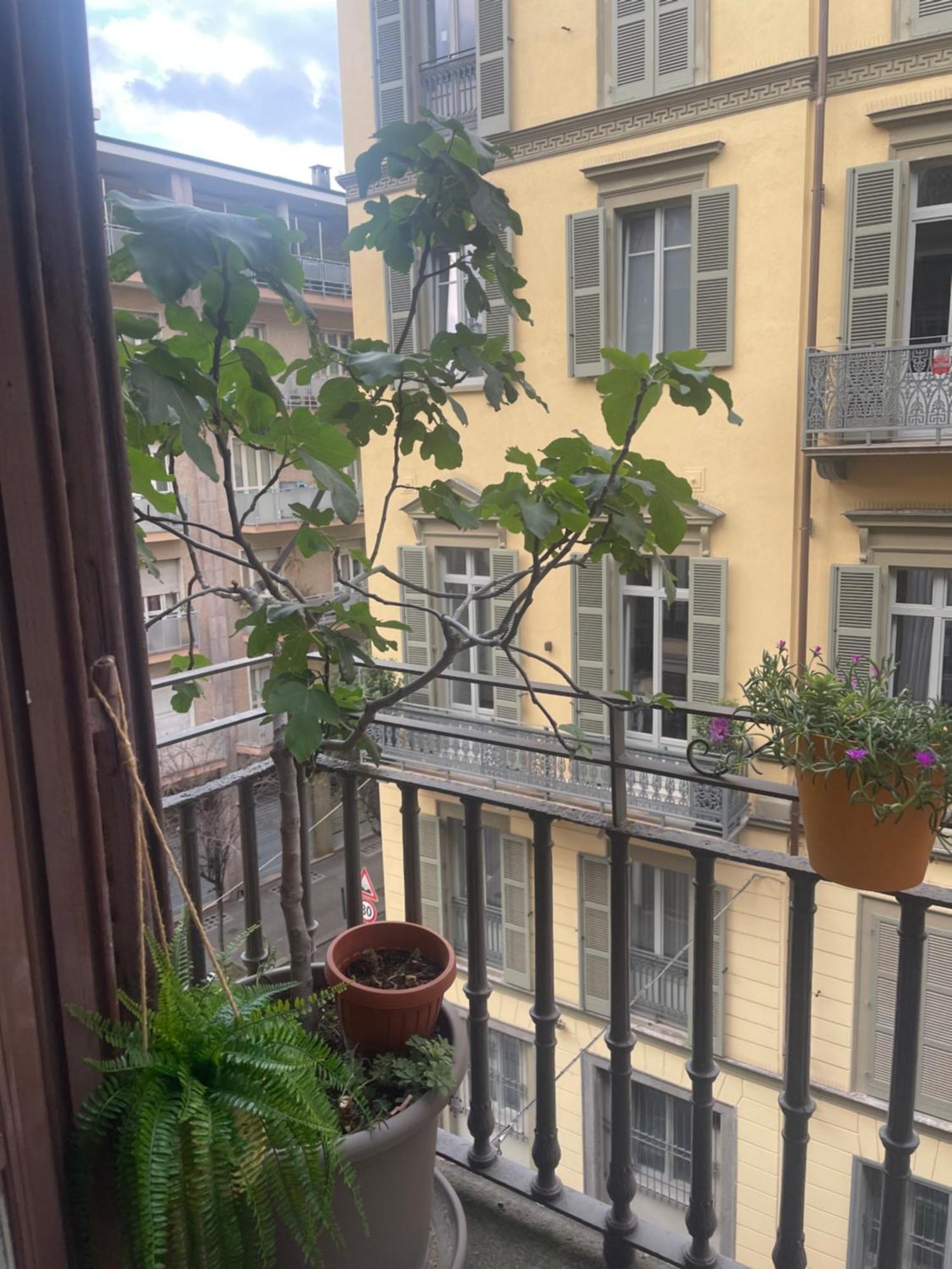 Torino Natura In Centro Exteriér fotografie